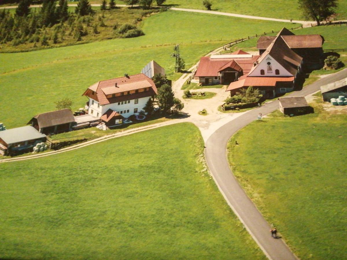 Erholung Am Bauernhof Bei Familie Seidl / Messner Villa Zeutschach Esterno foto