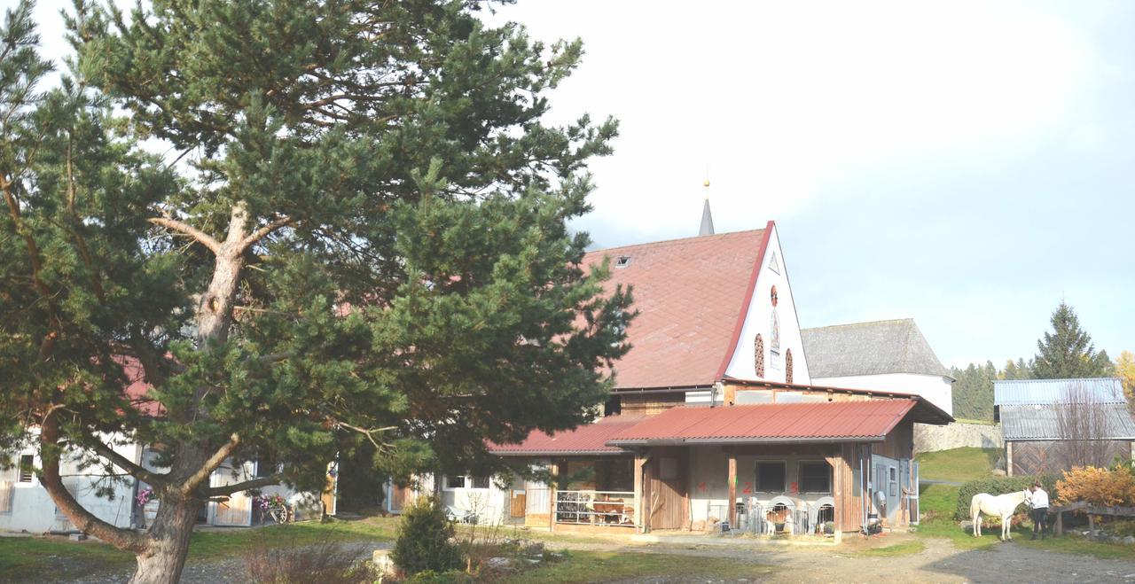 Erholung Am Bauernhof Bei Familie Seidl / Messner Villa Zeutschach Esterno foto