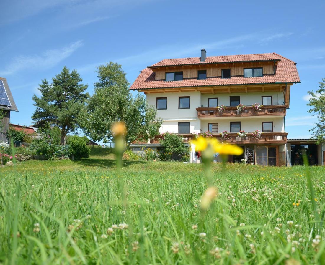 Erholung Am Bauernhof Bei Familie Seidl / Messner Villa Zeutschach Esterno foto