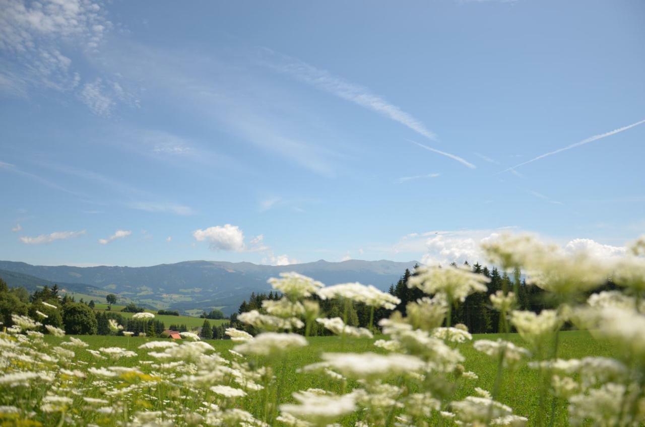 Erholung Am Bauernhof Bei Familie Seidl / Messner Villa Zeutschach Esterno foto