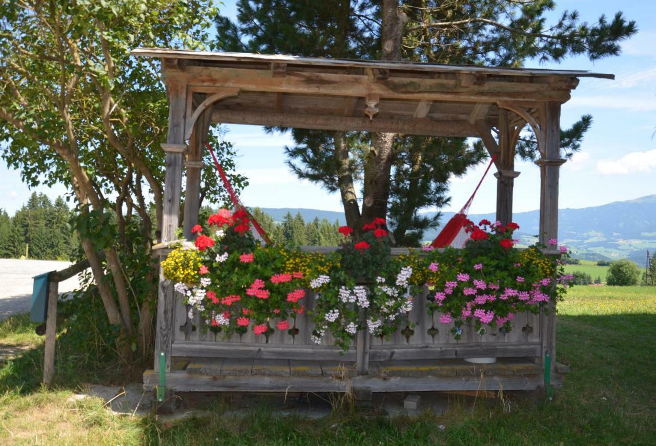 Erholung Am Bauernhof Bei Familie Seidl / Messner Villa Zeutschach Esterno foto
